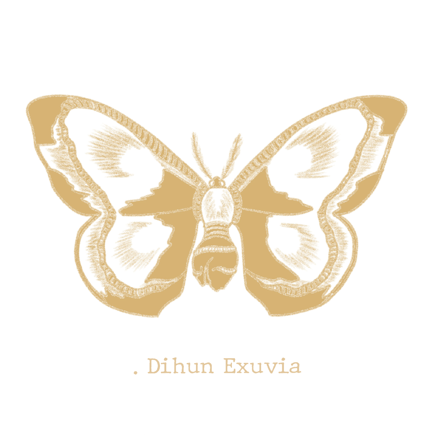 .lepidoptera, dihun exuvia