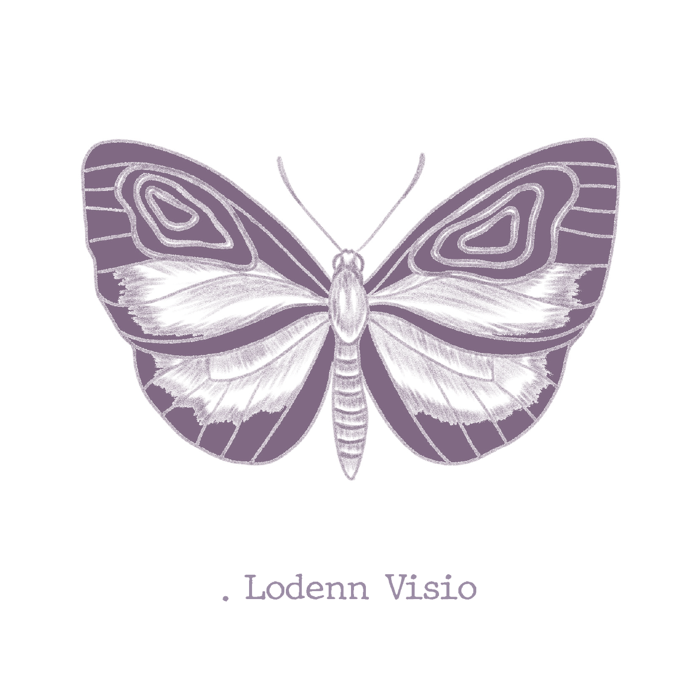 .lepidoptera, lodenn visio