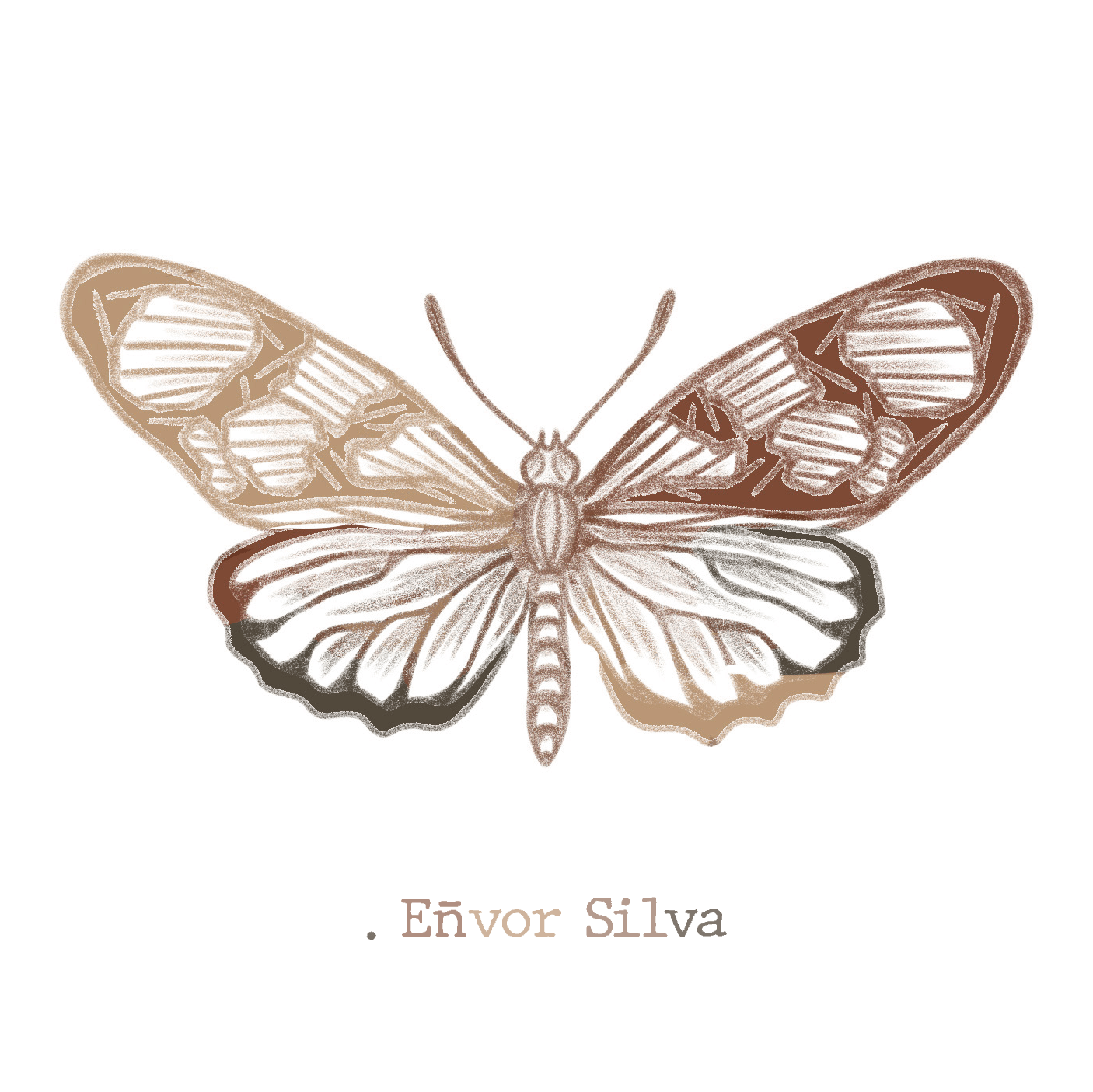 .lepidoptera, eñvor silva