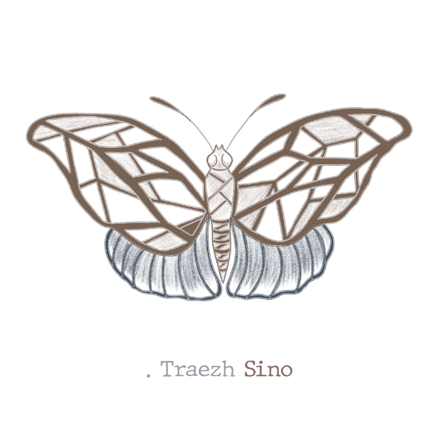 .lepidoptera, traezh sino