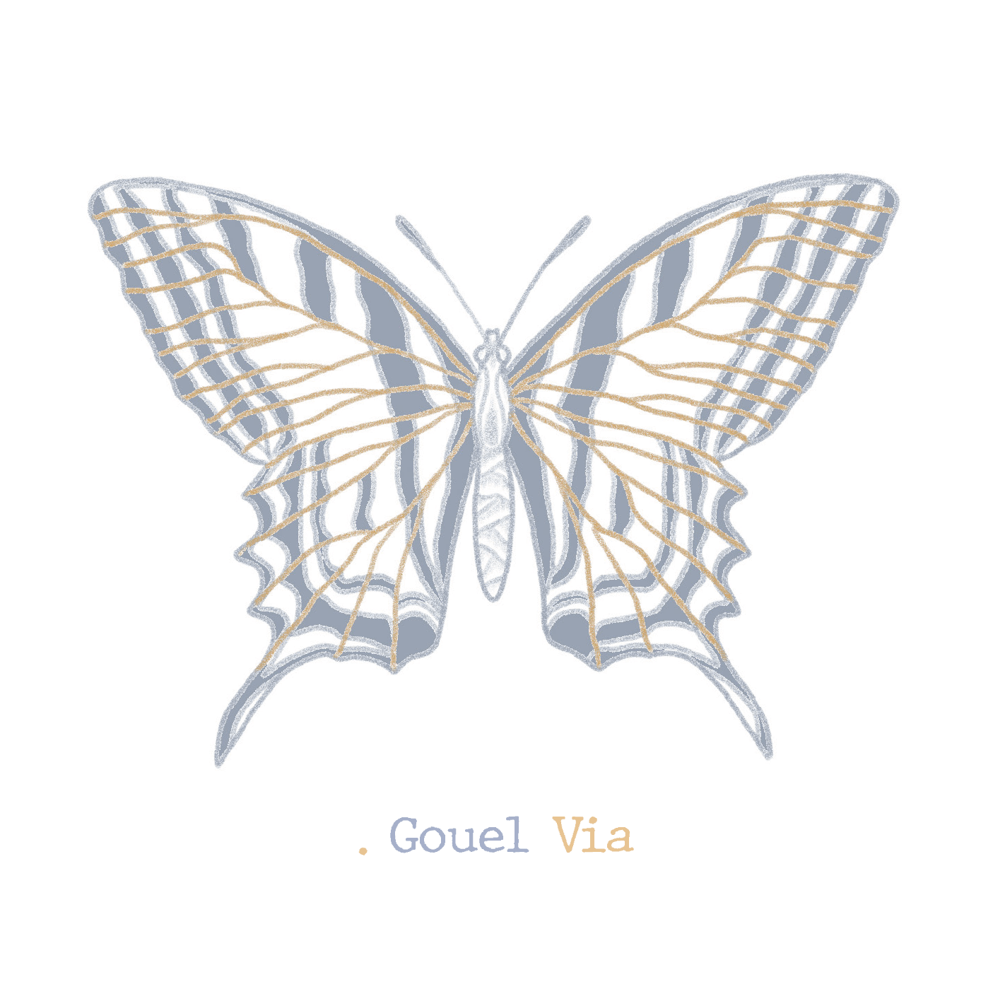 . lepidoptera, gouel via